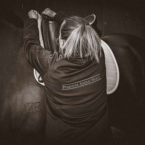 Fair haired woman adjusting a white HUSK Dressage Breathe Pad beneath a saddle