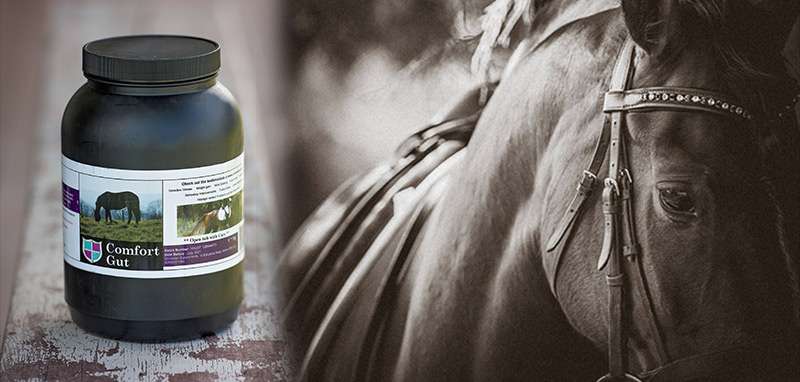 Hero image showing a tub of Comfort Gut next to a sepia image of a horse