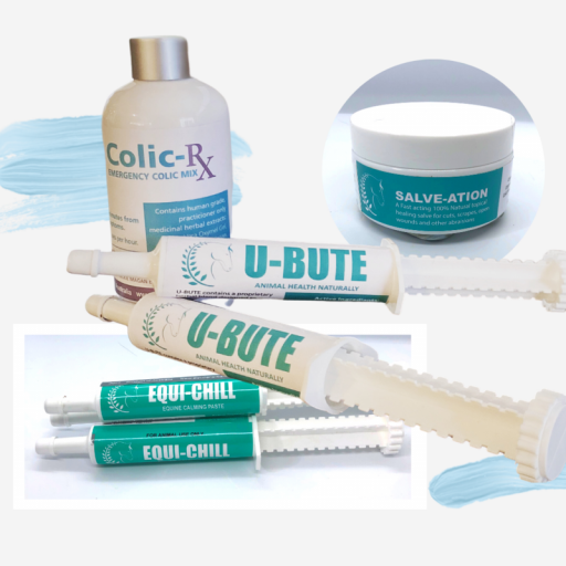 Mickie Magan First Aid Kit Bundle