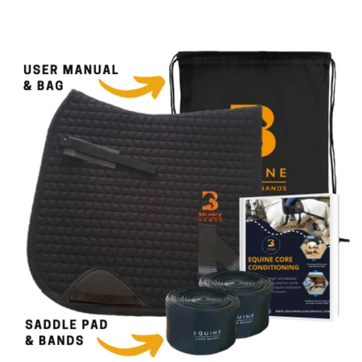 Equine Balance Bands - Dressage (Premium)