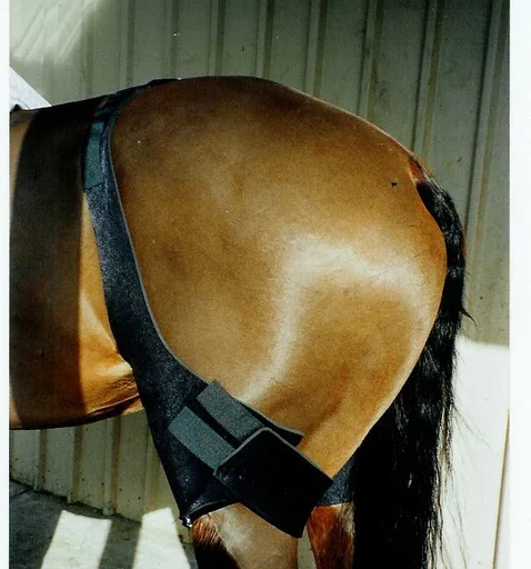 10 Minute Box Stifle Ice Bag