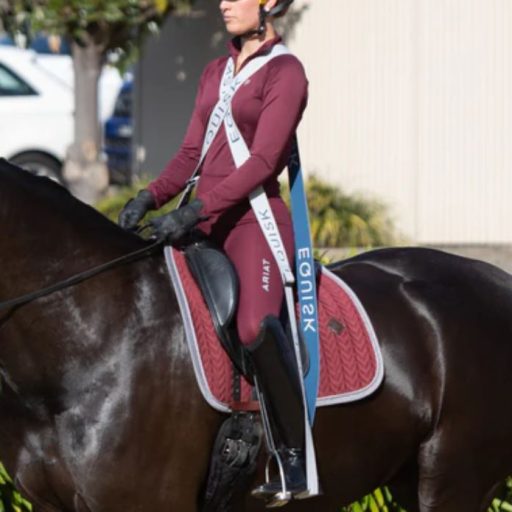 EngagedRider Resistance Bands (Pre-Order)