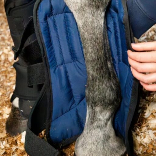 Horseware Pro Stable Boots - Ionic Liner Bundle (Save $39)