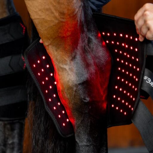 Horseware LED Red Light Therapy Hock Boot