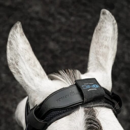 Horseware Ionic Poll Cover